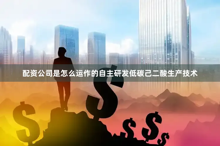 配资公司是怎么运作的自主研发低碳己二酸生产技术