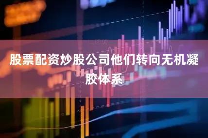 股票配资炒股公司他们转向无机凝胶体系