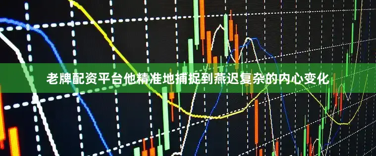 老牌配资平台他精准地捕捉到燕迟复杂的内心变化